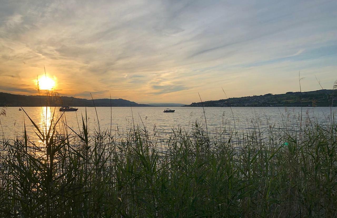 No1 Art B&B Au (Zurich) Εξωτερικό φωτογραφία